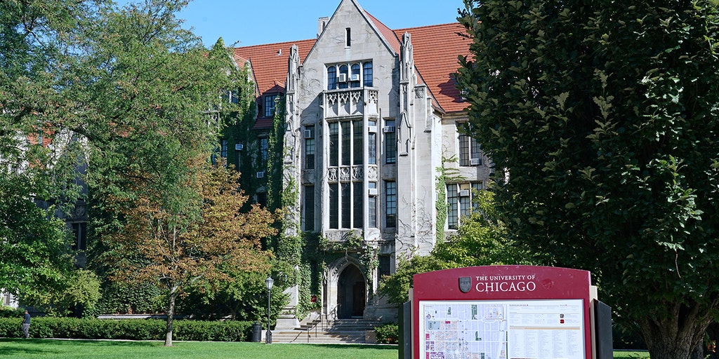 Two found shot to death inside car on University of Chicago campus: report