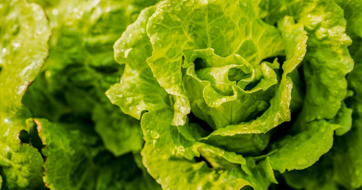 Michigan says salad is safe again as state’s cyclosporiasis cases fall