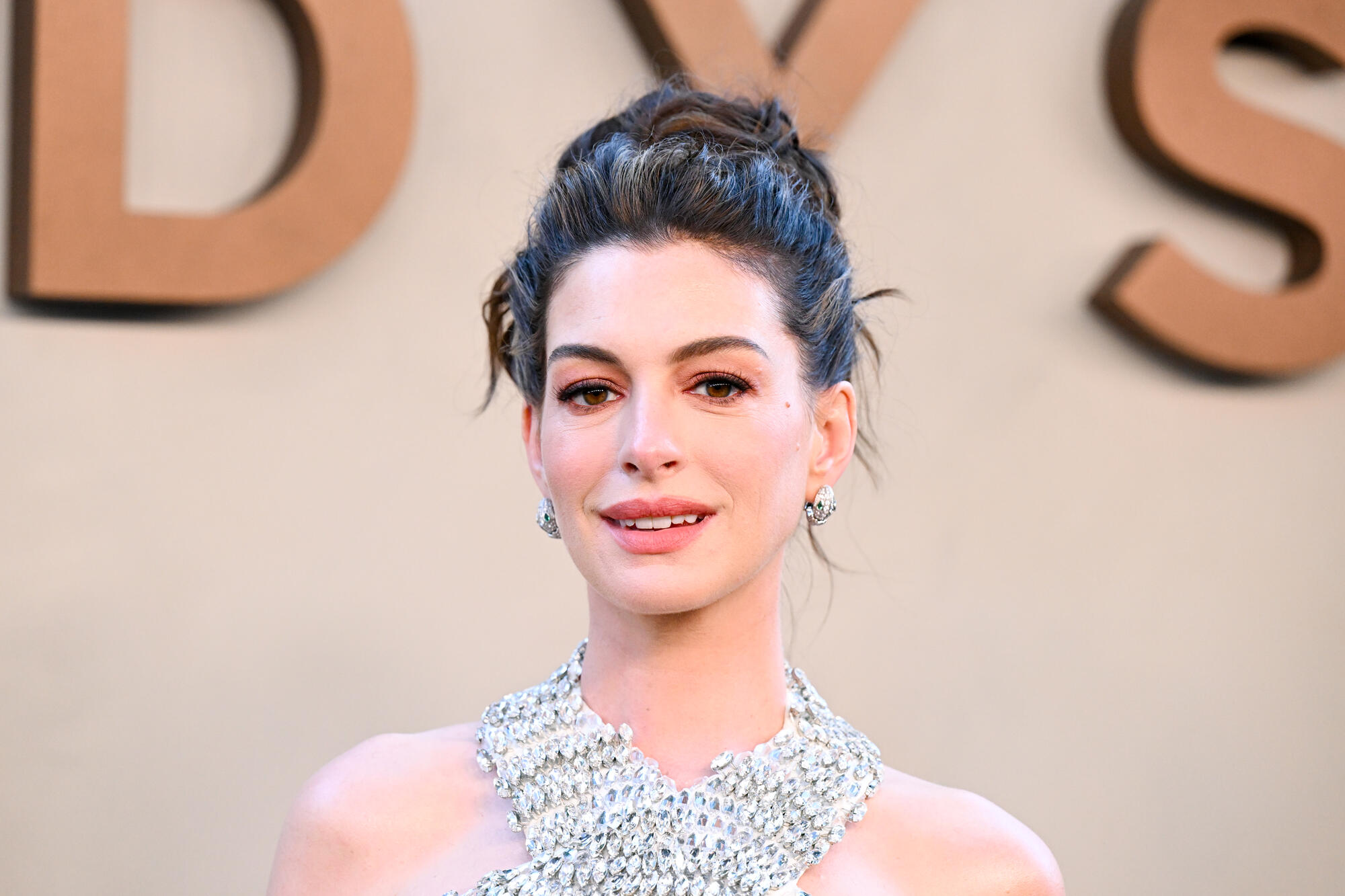 Anne Hathaway Says ‘Movies That Kill Dogs Should Automatically Be Rated R’