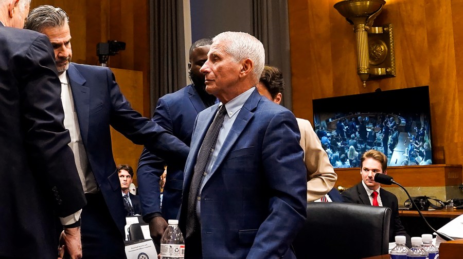 Critics and allies chime in after Fauci hearing