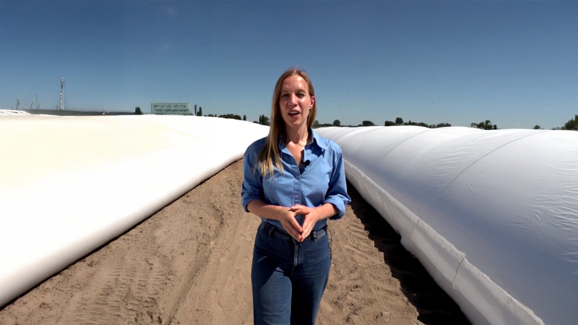 Ukrainian farmers use temporary storage to revive grain exports