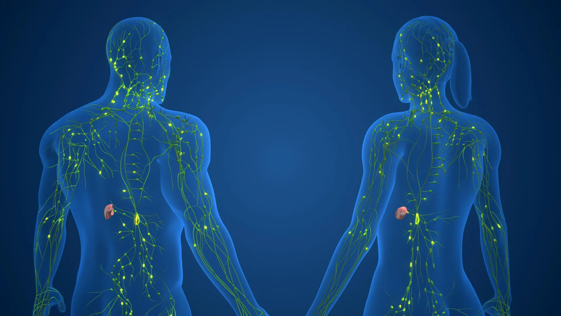 More than 1,000 genetic switches reveal why female immunity is different