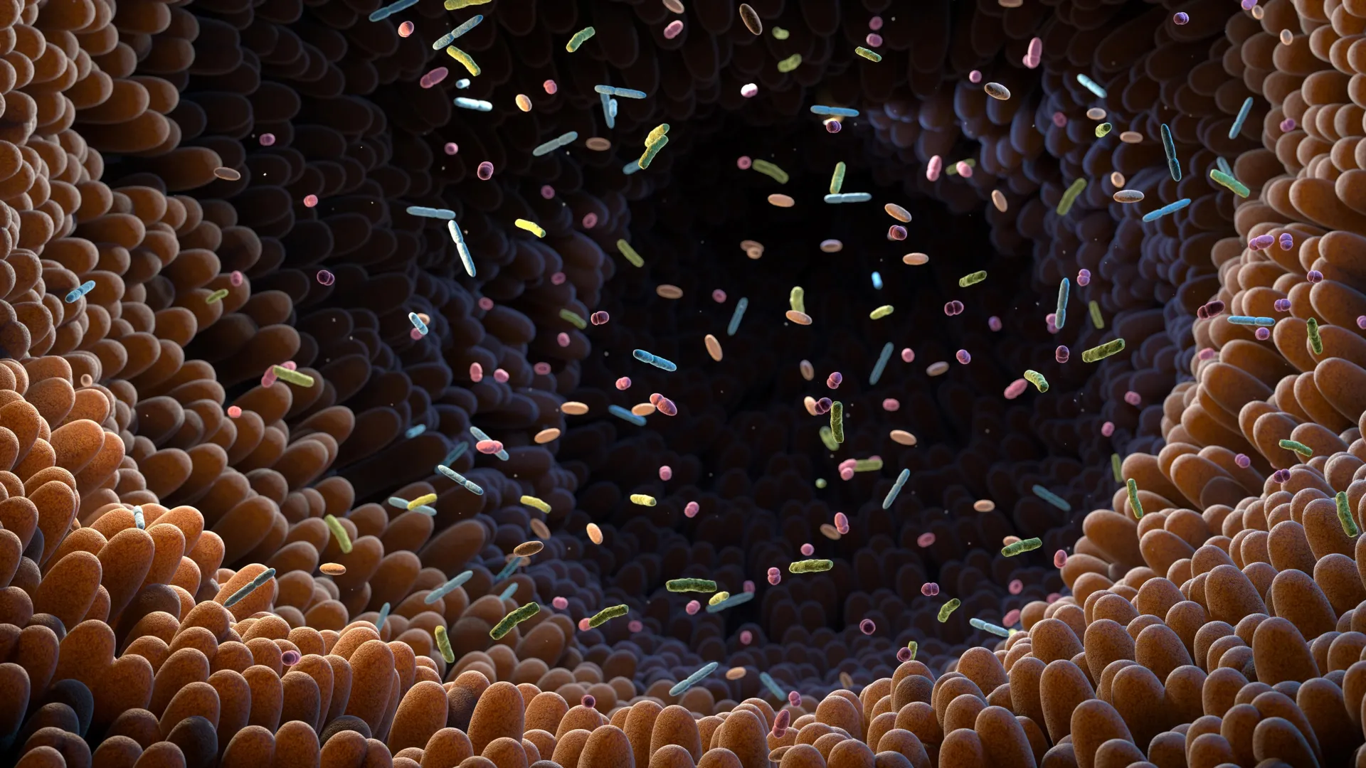 Gut bacteria may unlock a hidden benefit of vegetables