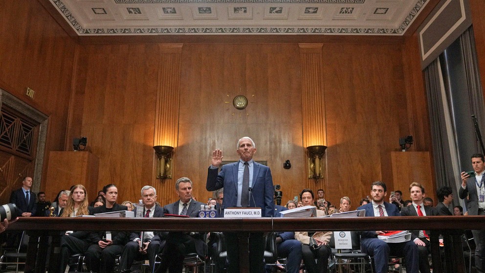Anthony Fauci Is Not the Villain in This Story
