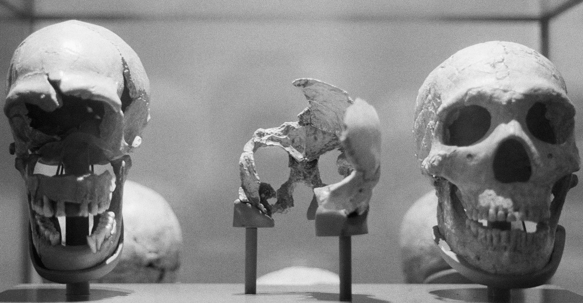 The Human-Origin Story Is Being Radically Revised