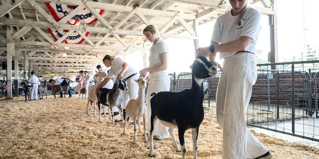 North Carolina warns mobile petting zoo visitors of rabies exposure after baby goats test positive
