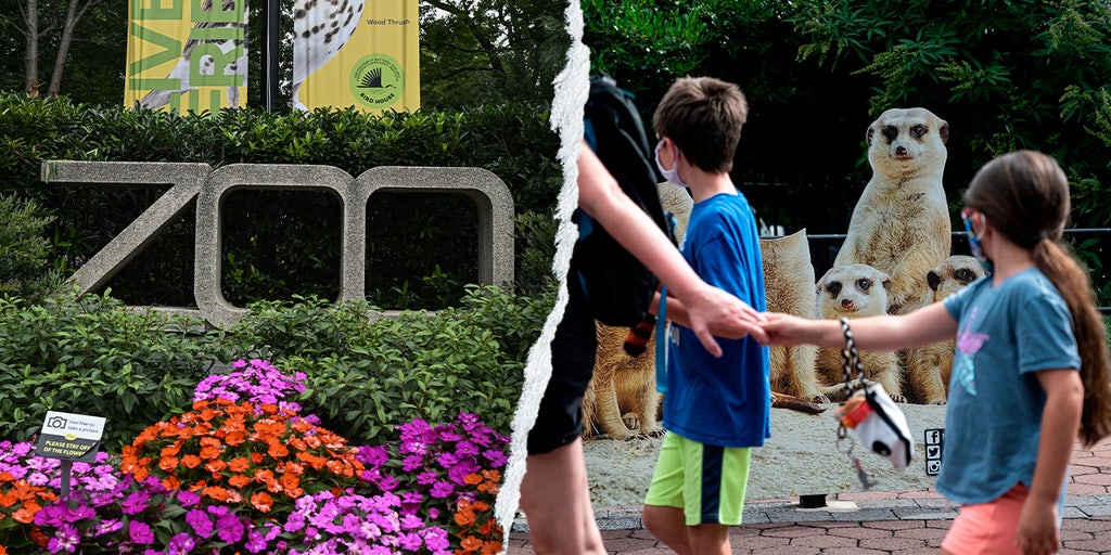 Gender equity, DEI, climate action: How the Smithsonian’s woke push ‘infiltrated’ America's most beloved Zoo