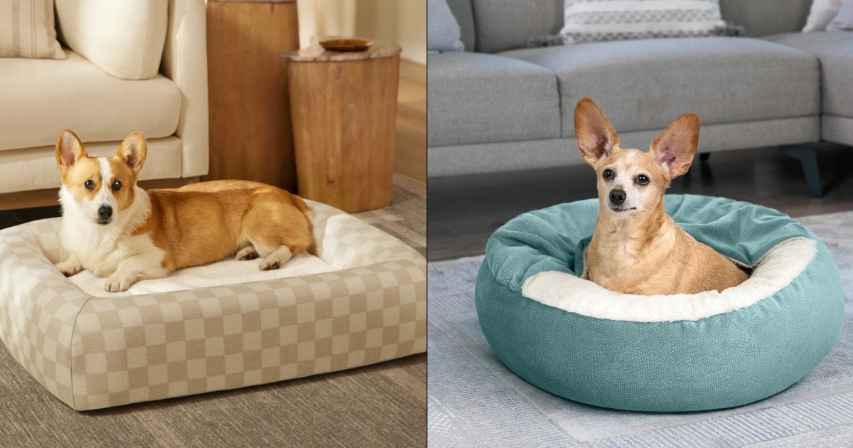 Does your dog really need its own bed?
