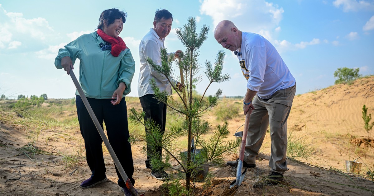 How an American teacher’s $5,000 donation helped turn a Chinese desert into a lush forest