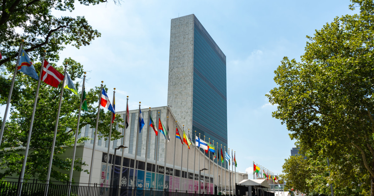 20 nations call for new global body to oversee AI