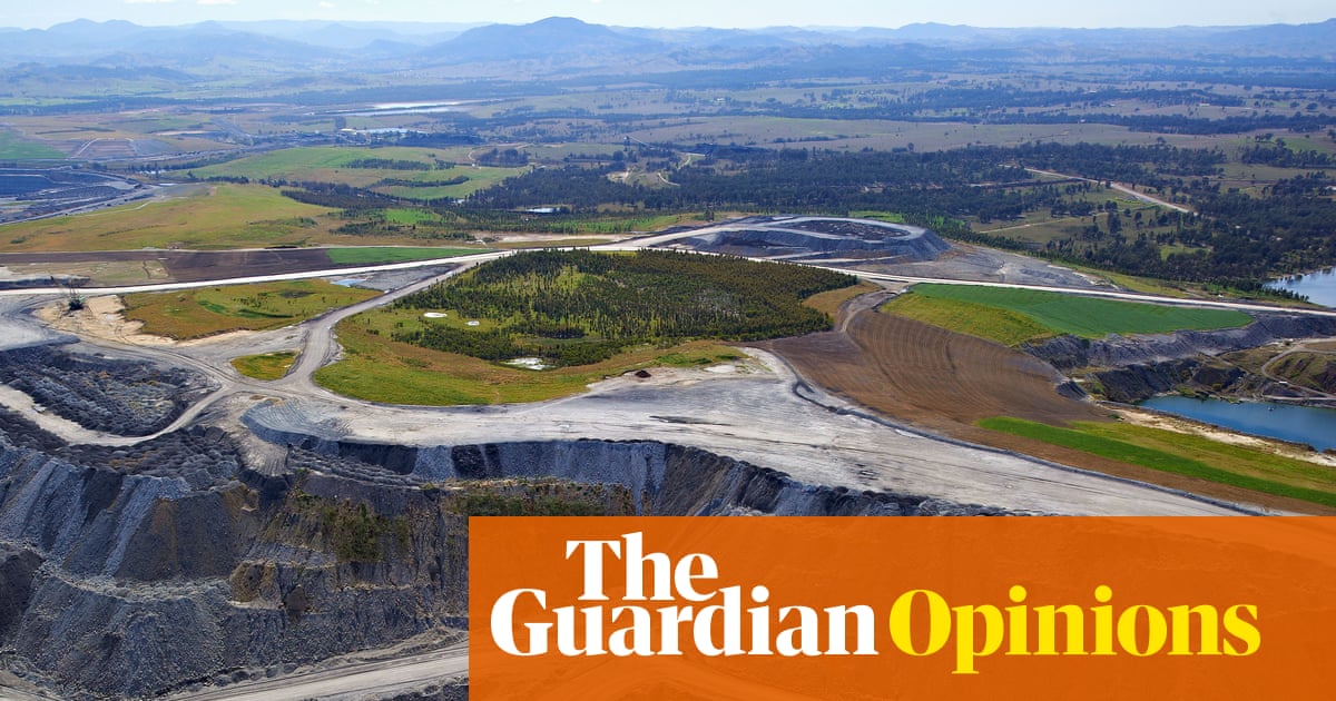 Australia’s big polluters rely on carbon offsets for climate credibility. But the system looks like a house of cards | Adam Morton