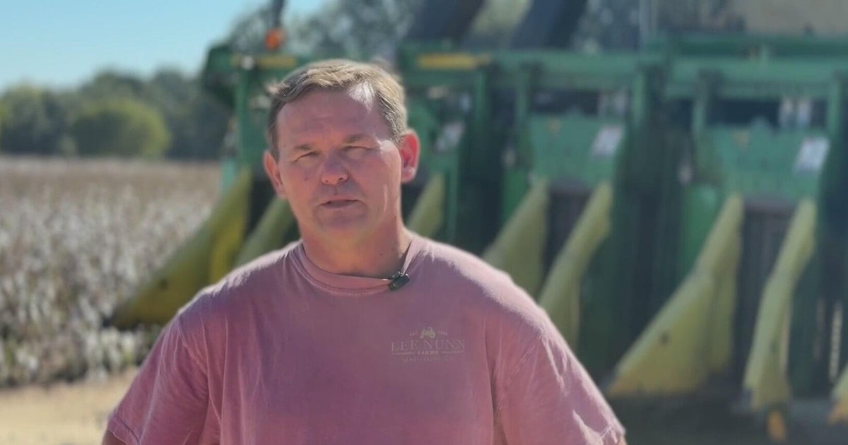 Georgia farmer says diesel prices could add $100K to harvest costs – CBS News