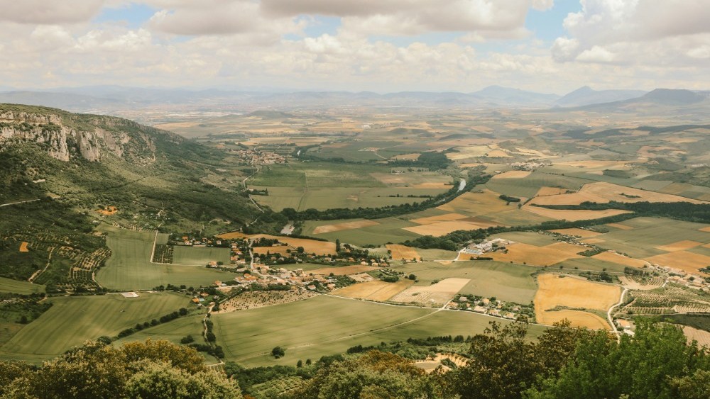 Inside the Basque Production Boom: Who Owns the Growth?