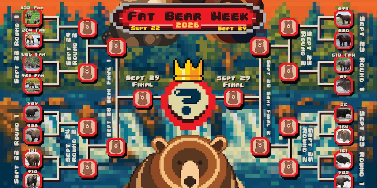 Fat bears break the internet, Katmai extends first-round voting – Alaska's News Source
