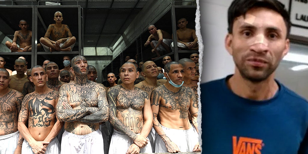 Machete-wielding MS-13 gangster wanted for murder walks free after Biden-appointed judge releases him: DHS