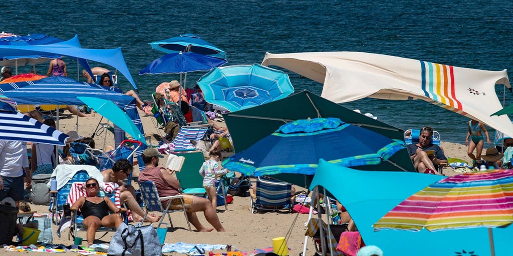 How a booming coastal escape learned to coexist with the ocean’s top predator