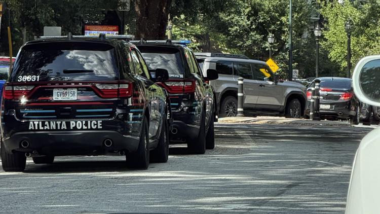 2 detained after shots fired at pavilion inside Piedmont Park near Active Oval, APD chief says