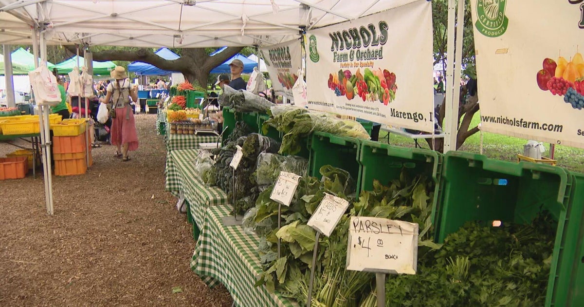 Cyclosporiasis outbreak sends local Illinois farms' lettuce sales skyrocketing – CBS News