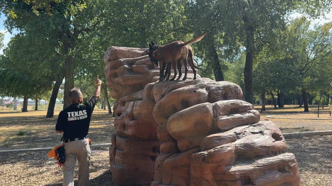 Meet the four-legged members of Texas Search and Rescue – spectrumlocalnews.com