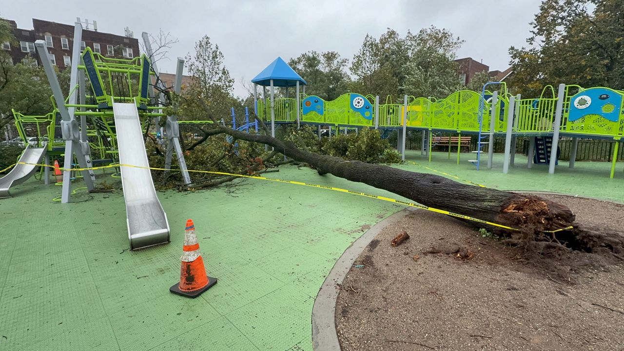 Nor'easter leaves flooding, downed trees across New York City – Spectrum News NY1