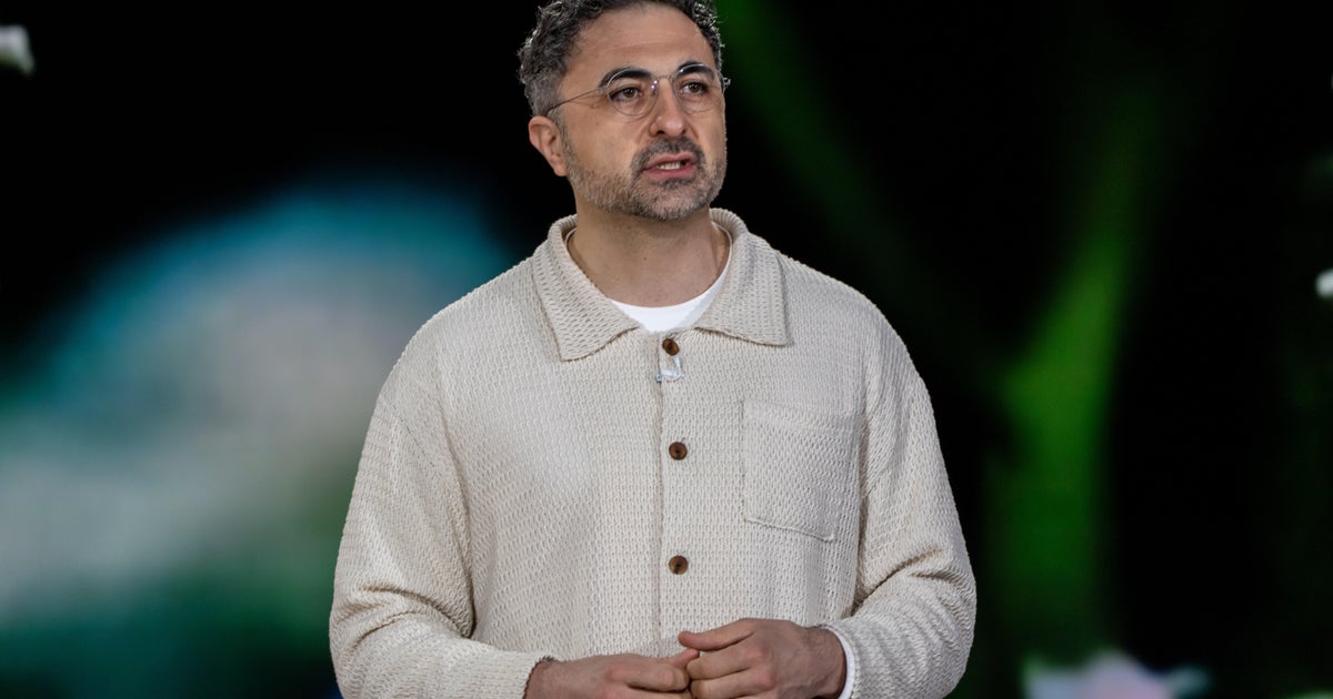 AI doesn't have rights or feelings, Microsoft's AI chief says