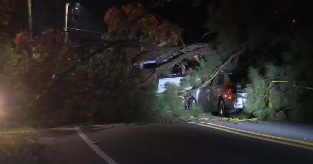 Car crashes, tree comes down onto car – wsbtv.com