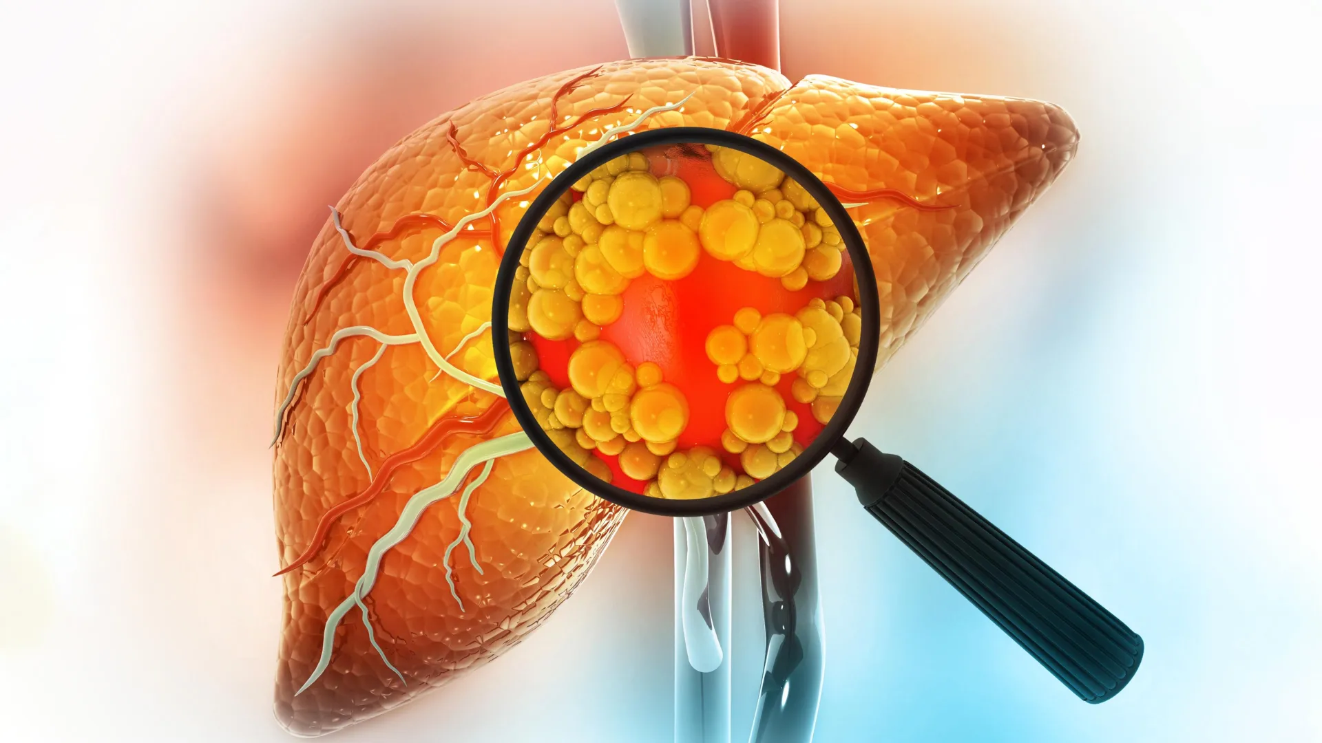 Scientists discover a hidden problem with this popular sugar substitute