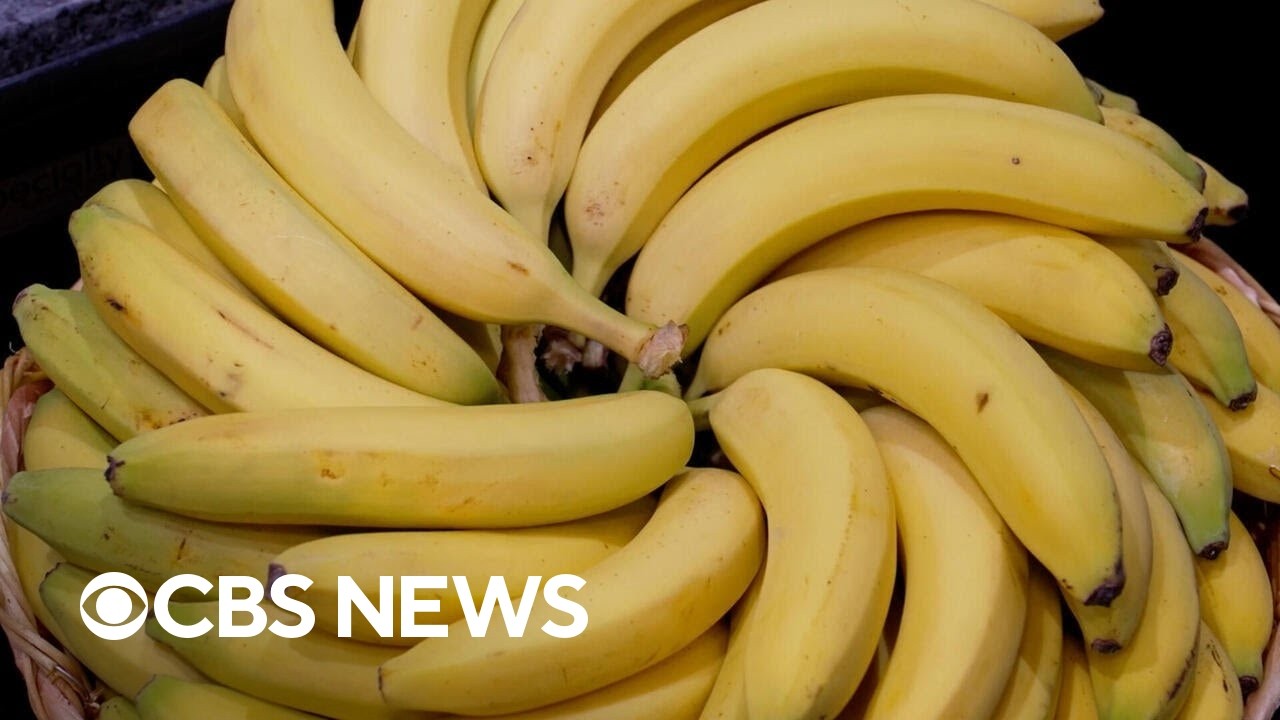 The science behind making the perfect banana