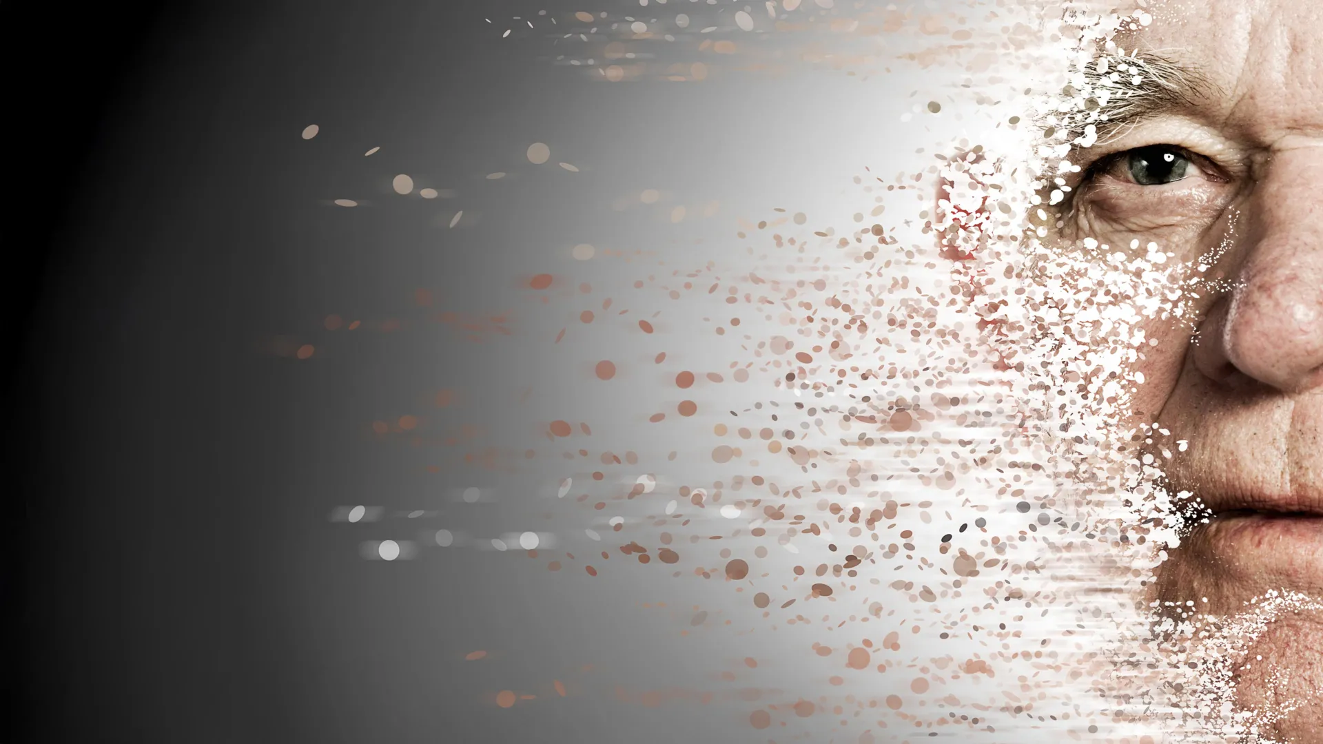 One immune switch may help drive aging across the body