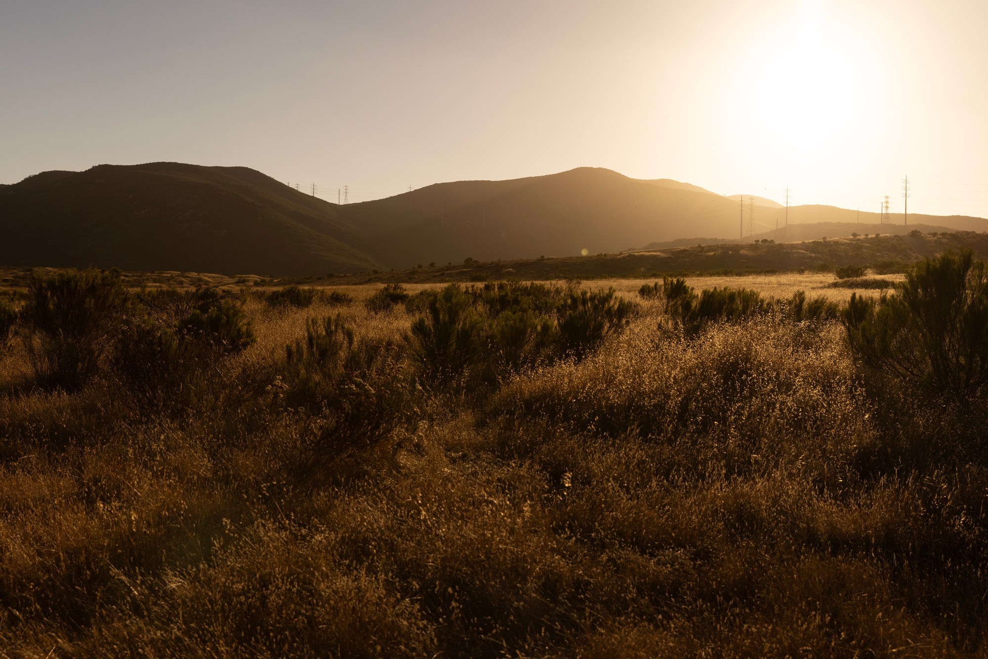 Don’t want to hike alone? Try one of these regular guided hikes or nature walks in San Diego County – San Diego Union-Tribune