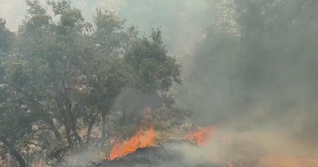 Timber Fire in California's Big Sur grows; evacuations, park closures in effect – CBS News