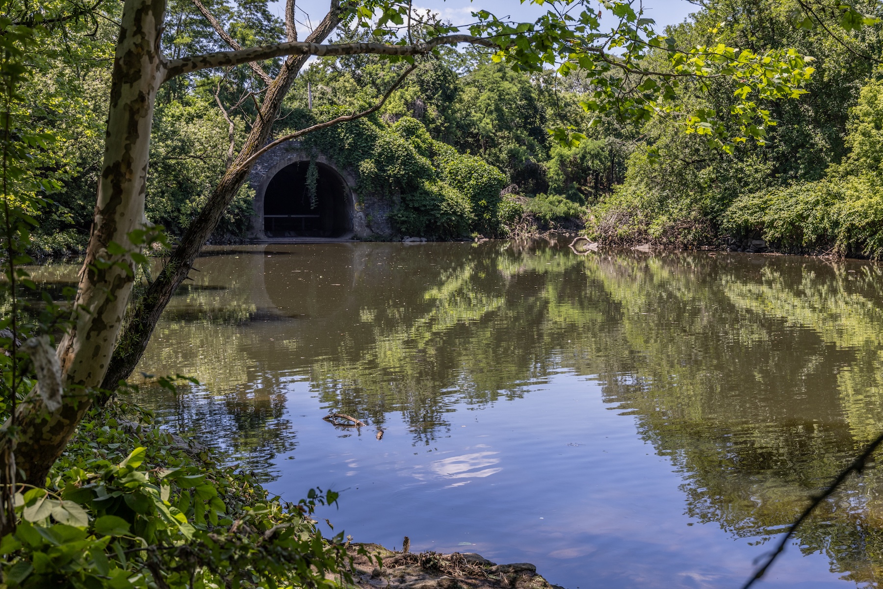 How Philadelphia is tackling raw sewage spills and flooding in local neighborhoods – WHYY