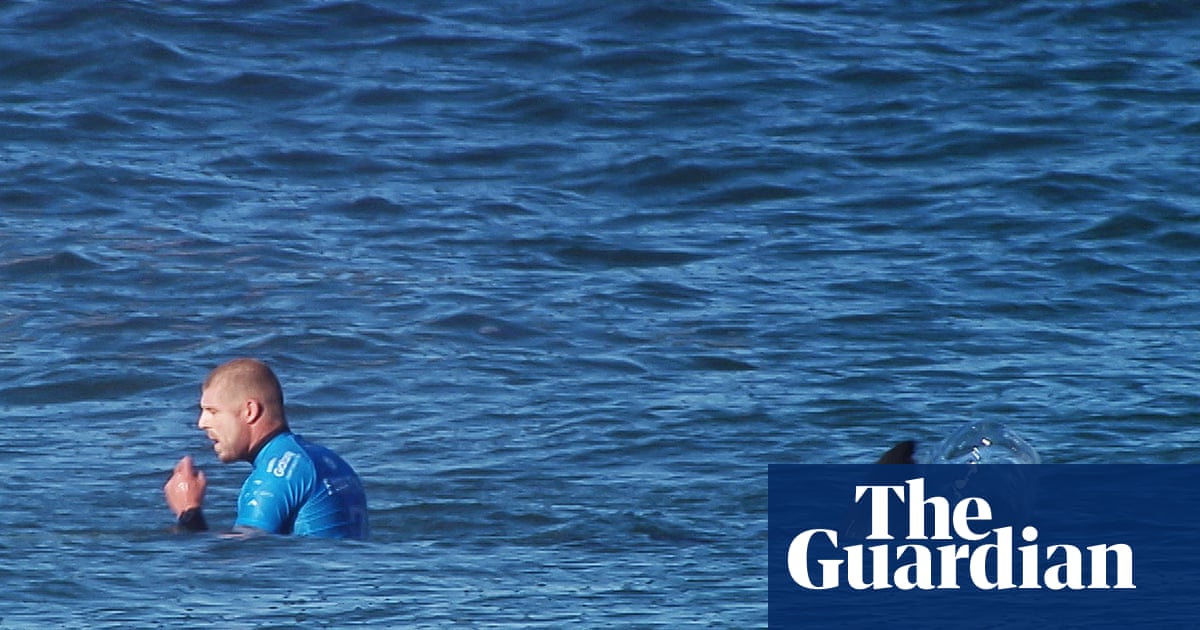 ‘That’s when I begin to scream’: Mick Fanning on punching a great white shark