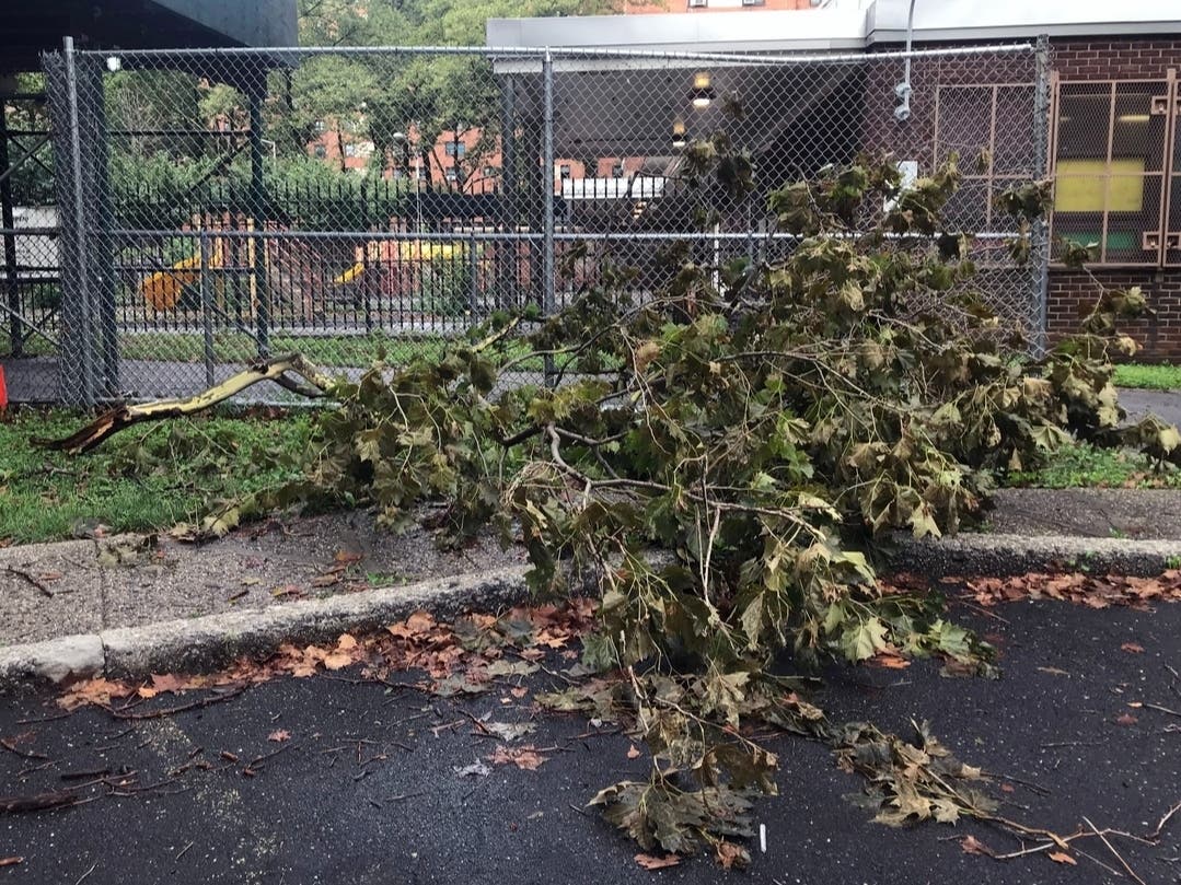 'Wild Ride' Of Damaging Winds, Thunderstorms Threaten Philly Area – Patch