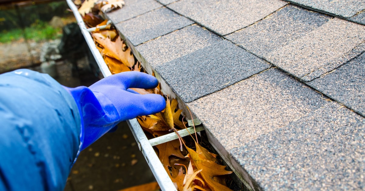 Experts say this is the best time to clean your gutters