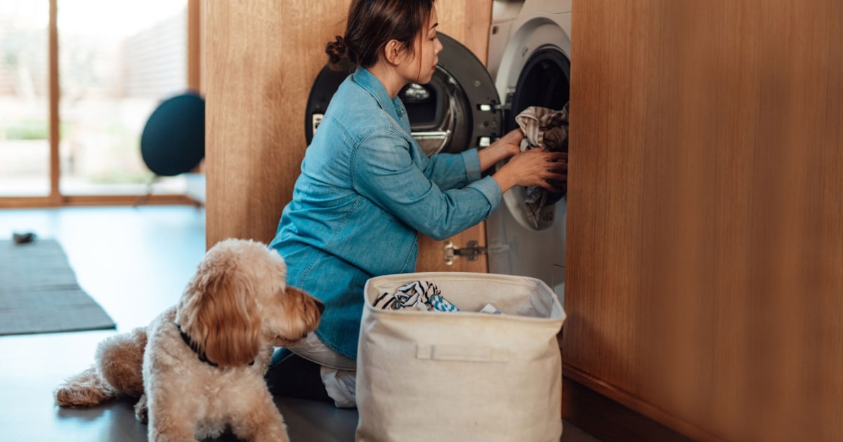 Do you actually need pet laundry detergent to clean your dog’s things?