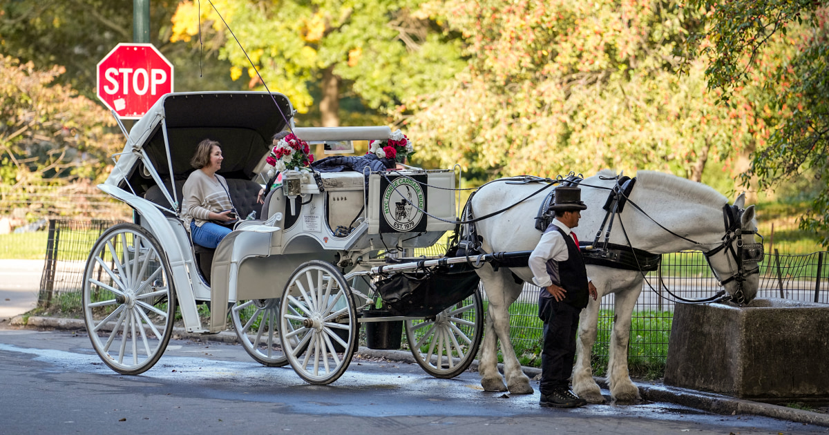 Central Park’s horse-drawn carriage drivers fear for their future as New York City passes a ban – NBC News