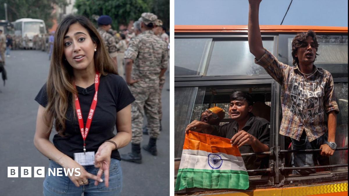 Why have hundreds of 'cockroach' protesters been detained in Delhi