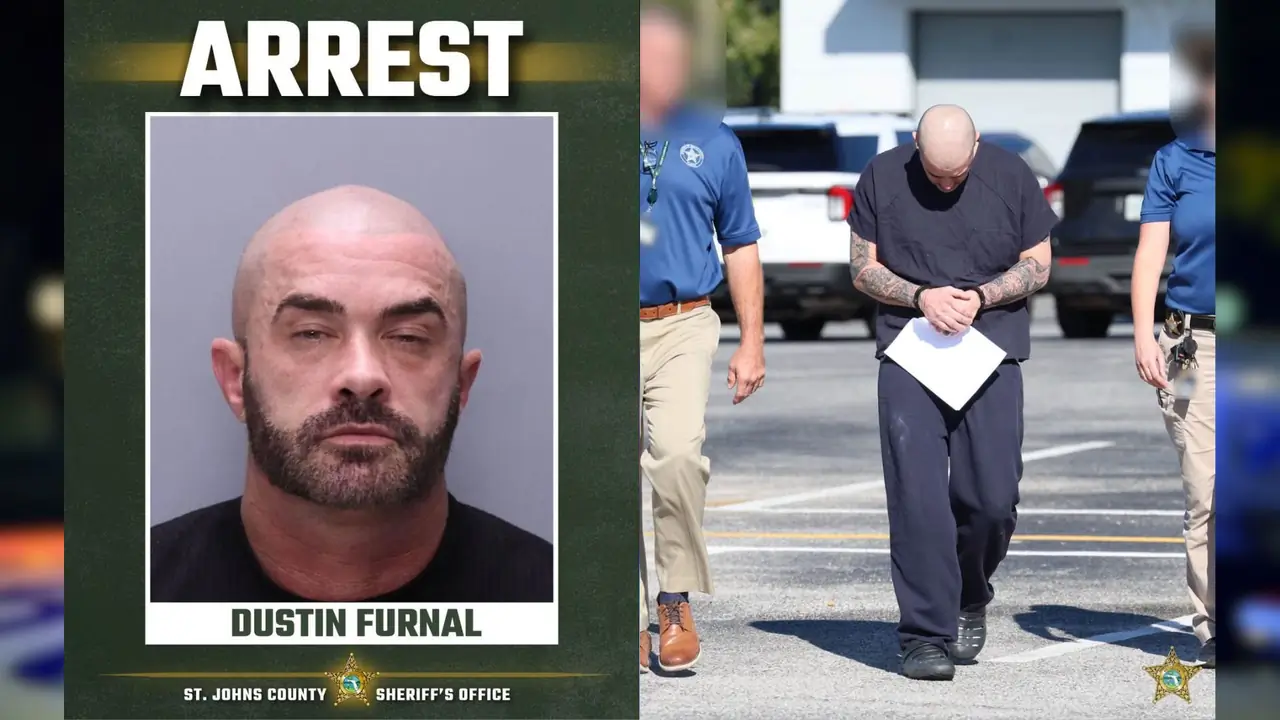 Teacher reassigned after dead cat brought to Sabal Palm Elementary; DCPS investigating – News4JAX