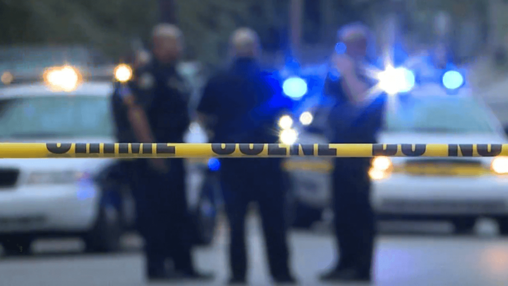 Rotterdam police operation shuts down Palm Street area – WRGB