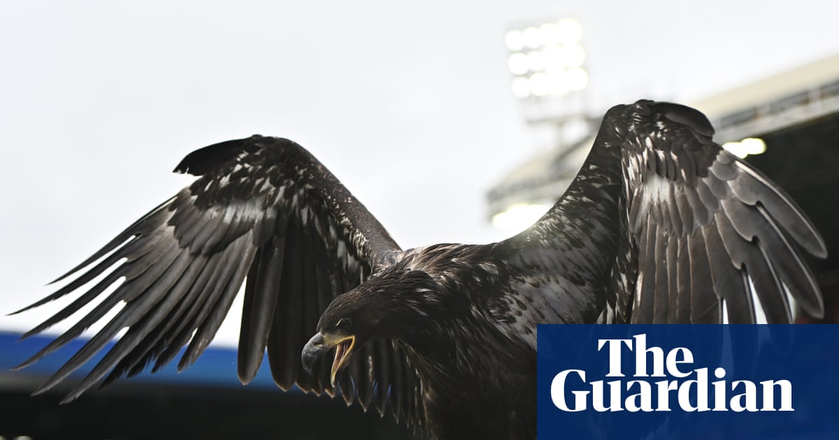 Animal rights group urges Crystal Palace to retire bald eagle mascot
