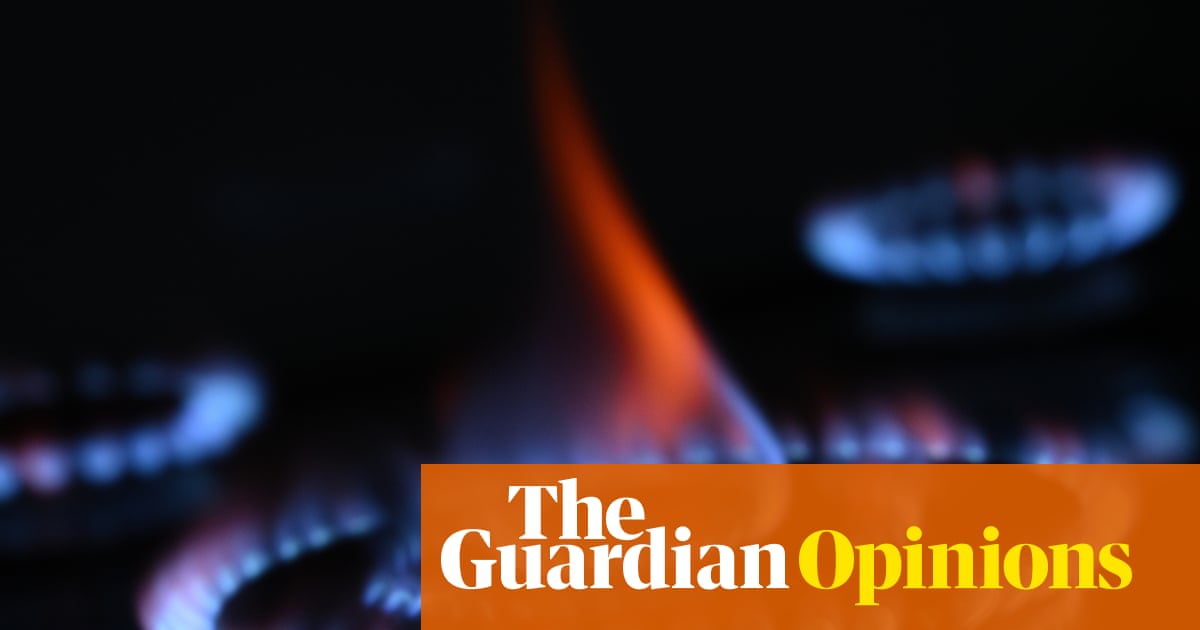 The Victorian election put gas laws on the ballot. The Coalition and One Nation have chosen to fight for the indefensible | Saul Griffith