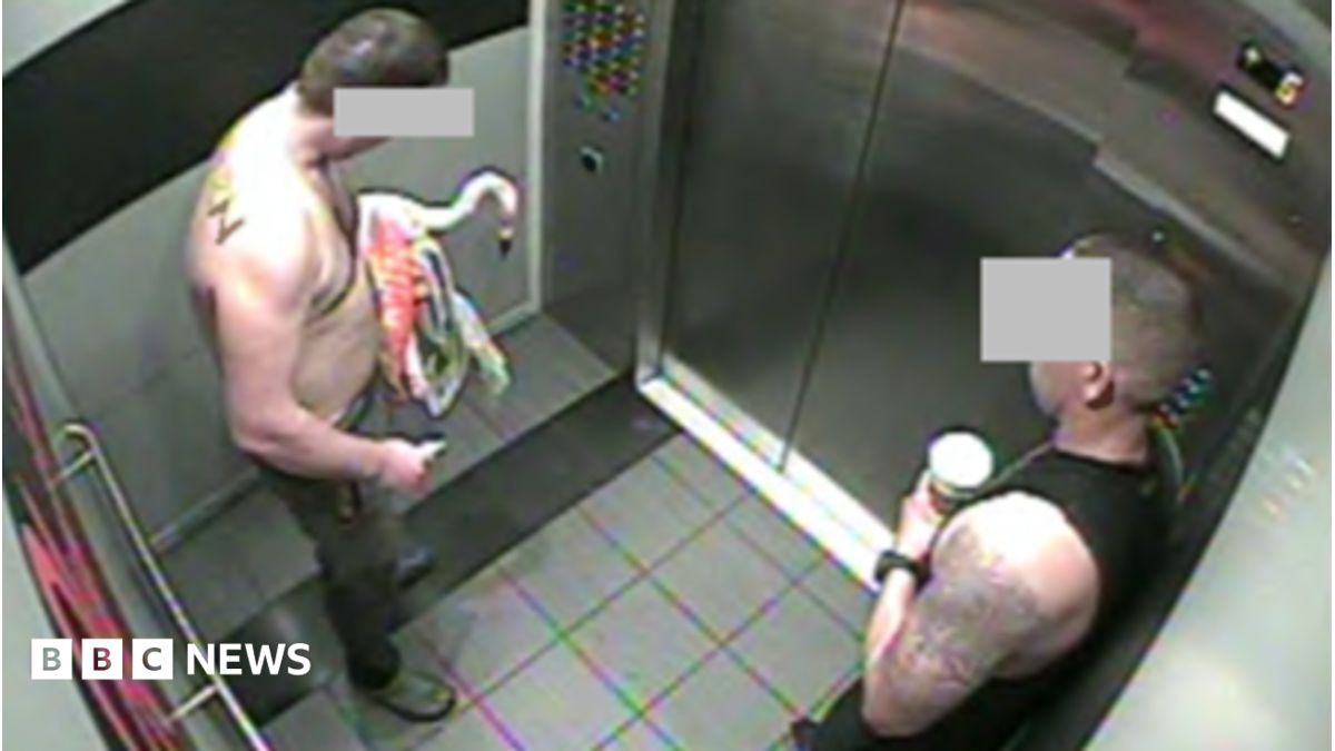 Tourist found guilty after stealing Las Vegas flamingo from enclosure