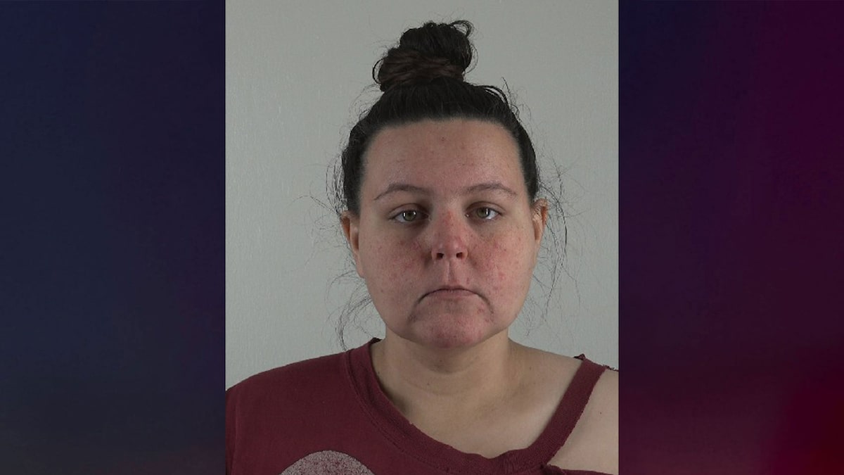 Texas woman charged with capital murder after she allegedly gave birth in motel and drowned newborn in bathtub – True Crime News