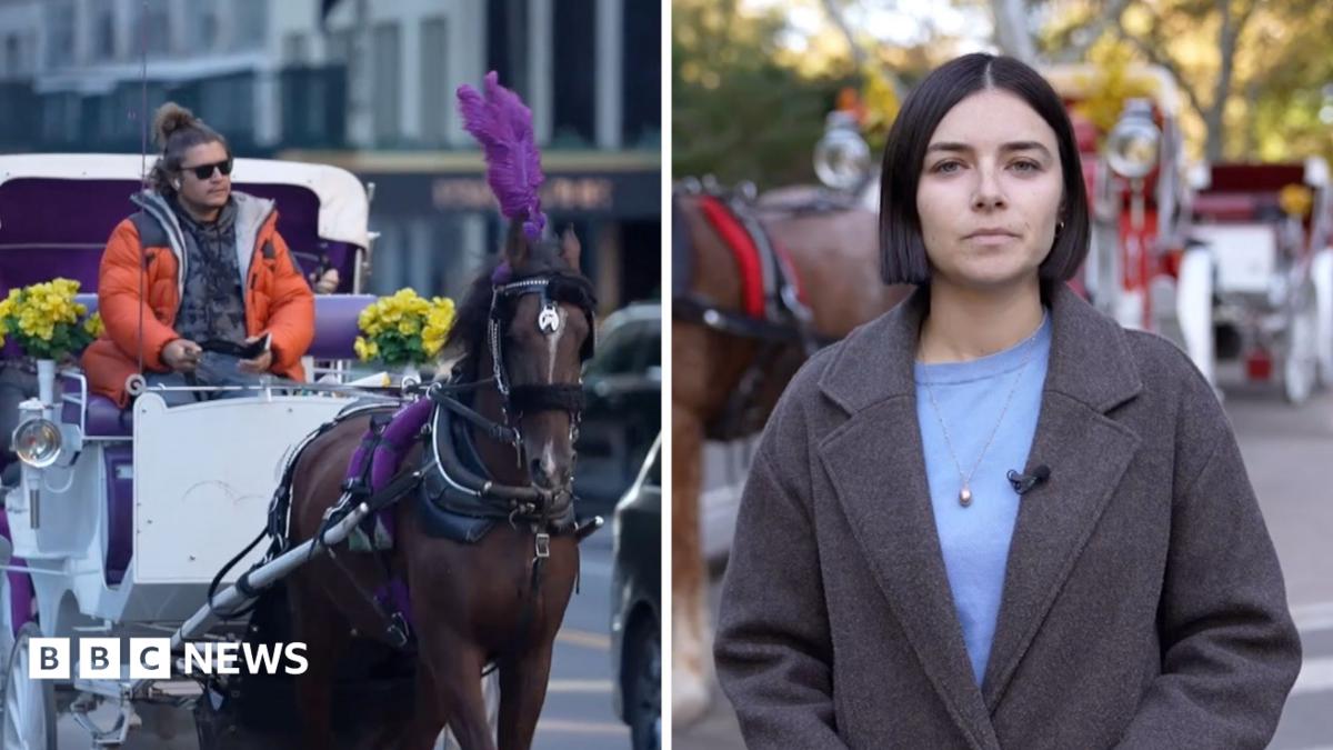 'It's part of the culture' – New York bans horse-drawn carriages after more than 160 years