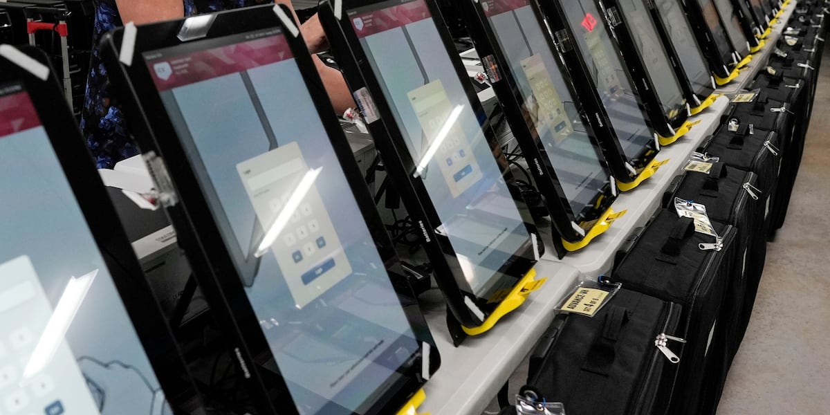 With 400K Ga. Latino voters in play, bilingual ‘guardians’ step in where voting machines fall short – Atlanta News First