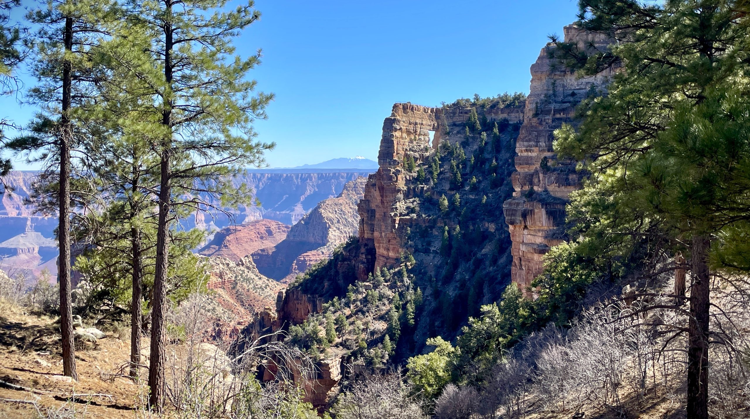 Status of the North Rim – National Park Service (.gov)