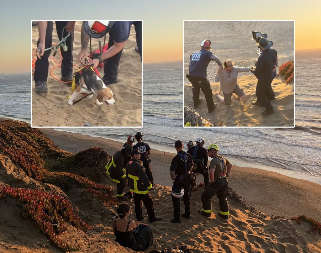 2 adults, 2 dogs rescued off cliffside at San Francisco’s Fort Funston – Local News Matters