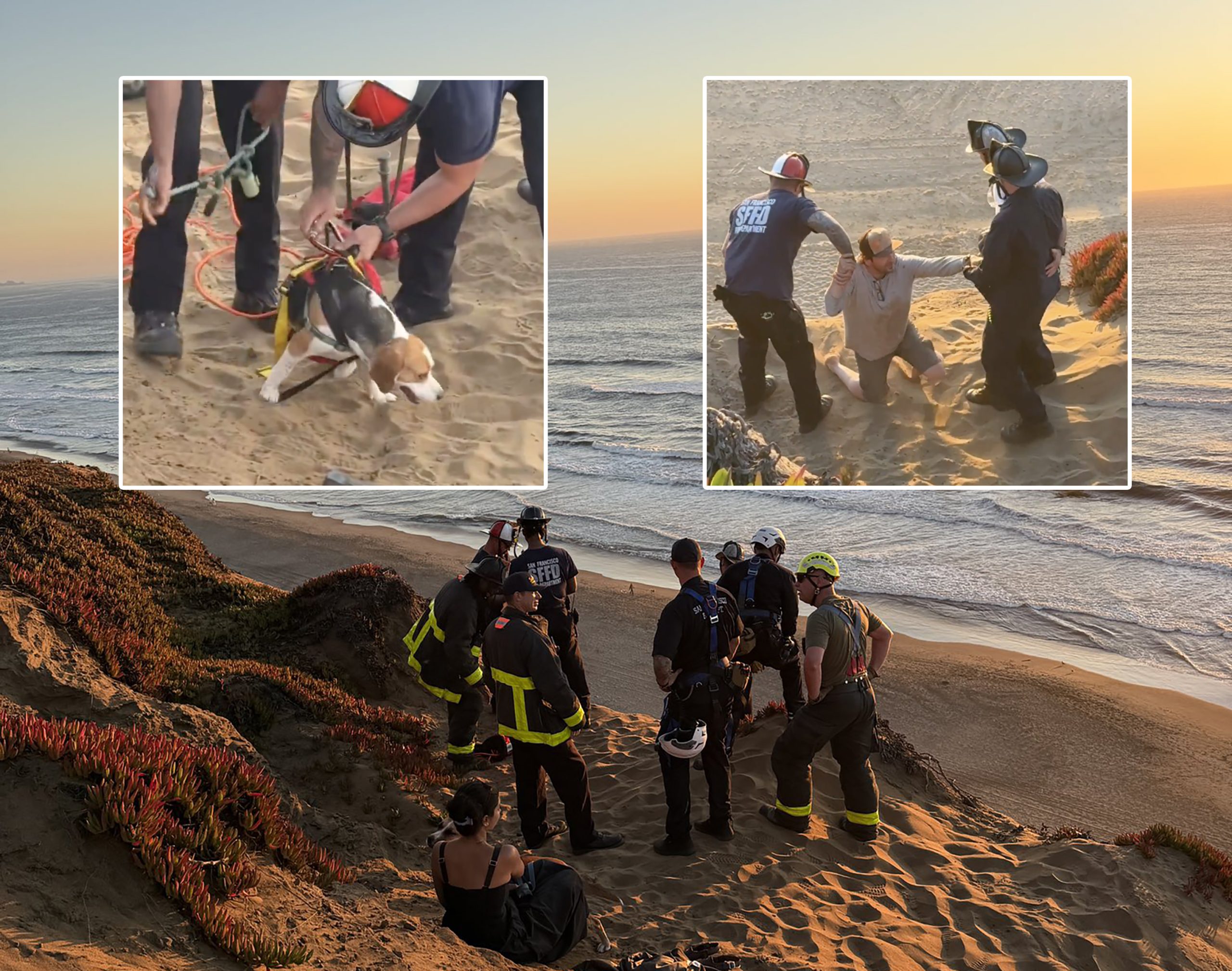 2 adults, 2 dogs rescued off cliffside at San Francisco’s Fort Funston – Local News Matters