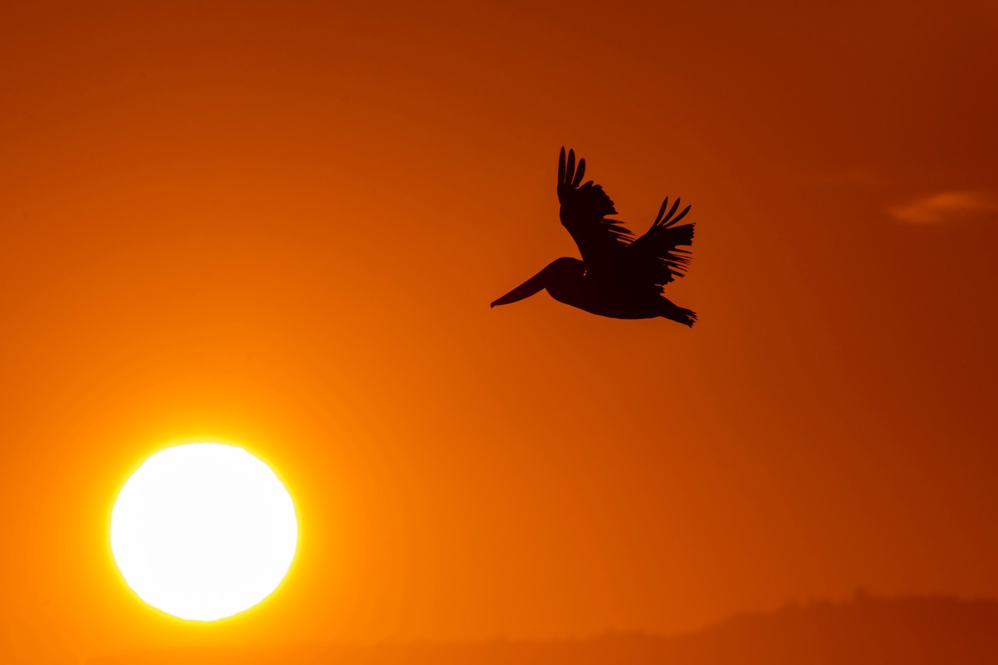How to cool down your home as Solano County and the Bay heat up – Vallejo Times Herald
